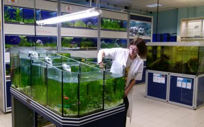 La permanence d’été 2020 à l’animalerie