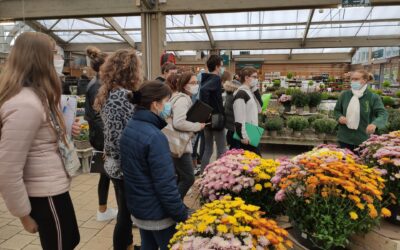 2ndes Pro Conseil Vente Jardinerie : visite Botanic